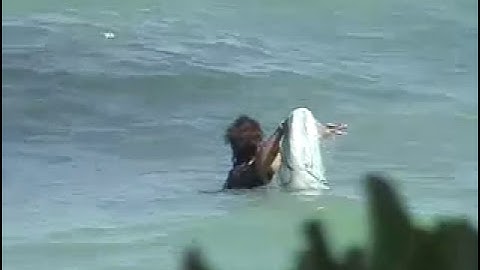 Is This The Most Insane Cast Net Video Ever? Extreme Bait Catching