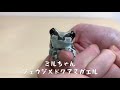 人に慣れ過ぎたカエルのエサやりルーティン Feed the crazy frog!!