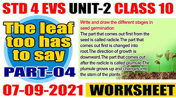 STD 4 Environmental science Class 04 Unit 2 The leaf too has to say Worksheet Part 04 Class 10