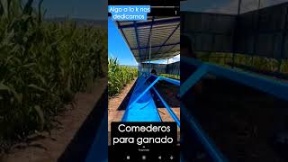 comederos para ganado y becerros