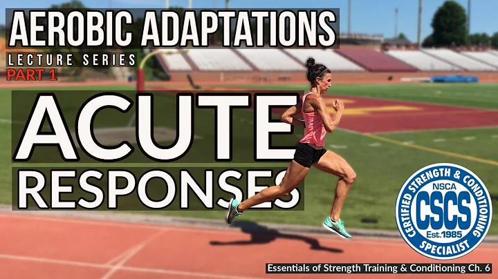 Acute Responses to Aerobic Training | CSCS Chapter 6