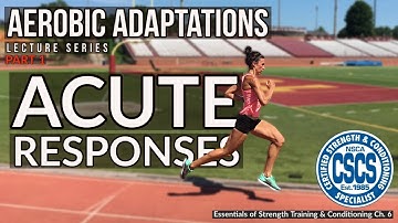 Acute Responses to Aerobic Training | CSCS Chapter 6