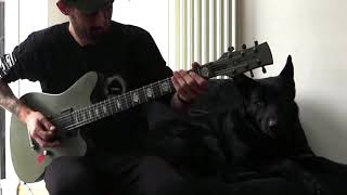 Video thumbnail of "Architects - Animals (Guitar Cover) 2020"