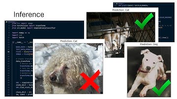 Image Classification (from project structure to inference) using PyTorch in less than 10 mins