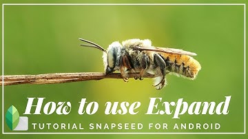 How to use Expand in Snapseed