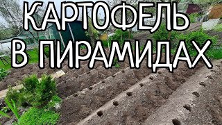 видео: ПОСАДКА КАРТОФЕЛЯ СОРТ АМЕРИКАНКА В ПИРАМИДЫ.УРОЖАЙНОСТЬ В 2 РАЗА БОЛЬШЕ+УДОБСТВО ПРИ УХОДЕ И СБОРЕ. картинка: ПОСАДКА КАРТОФЕЛЯ СОРТ АМЕРИКАНКА В ПИРАМИДЫ.УРОЖАЙНОСТЬ В 2 РАЗА БОЛЬШЕ+УДОБСТВО ПРИ УХОДЕ И СБОРЕ.