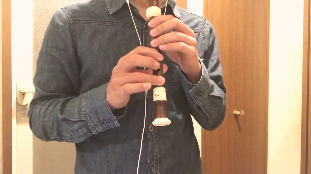 リコーダーをなめるなよ 立派に良い音鳴る楽器なんやで パイレーツ オブ カリビアン 彼こそは海賊 He S A Pirates Youtube