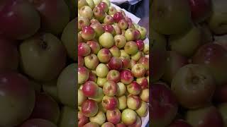 shortvideo Apple plums are beautiful to look at shorts shortsfeed shortvideo