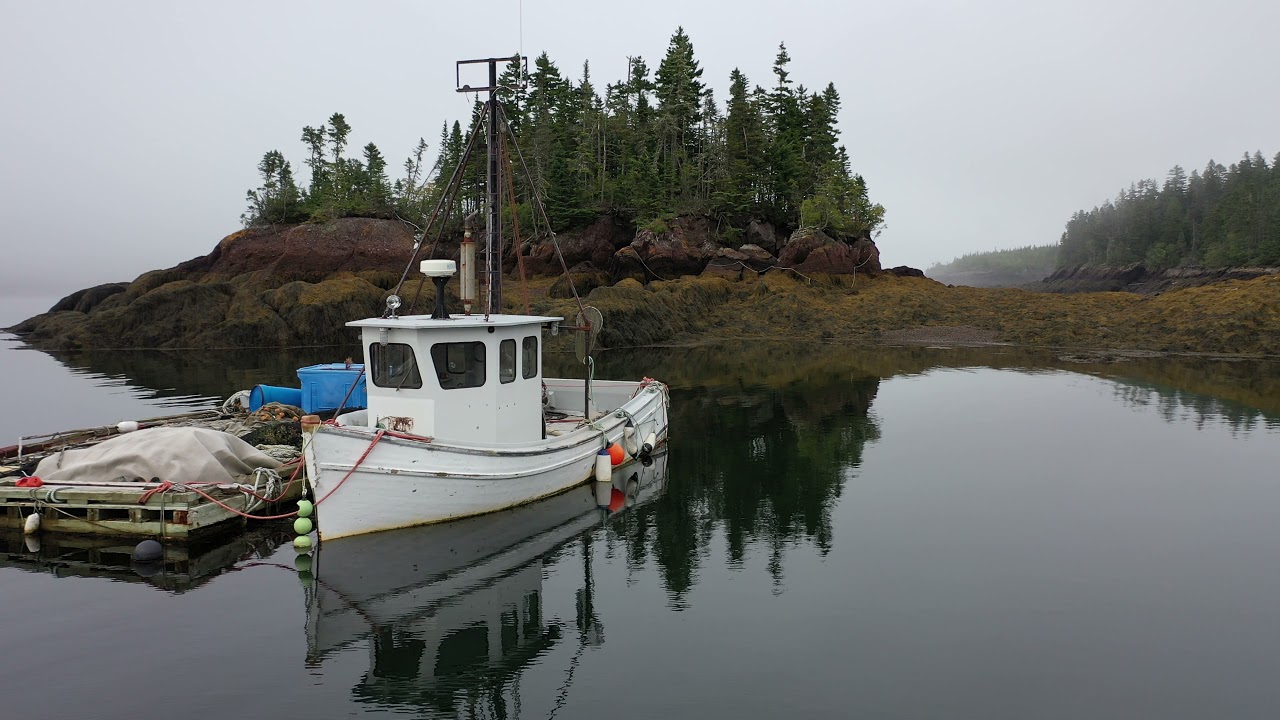 A Ceilidh sampler - east coast 2021
