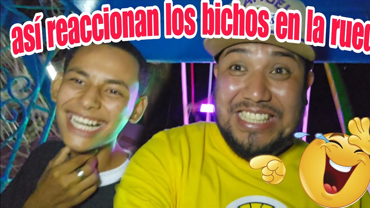 Memo y chimirrin casi llorando del miedo 😨  no pararas de reír 🤣