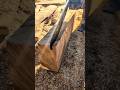 Aserrando Conacaste🤛#woodwork #chainsaw #asmrvideo