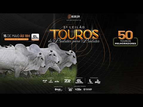 LOTE 32   AMJE 5698