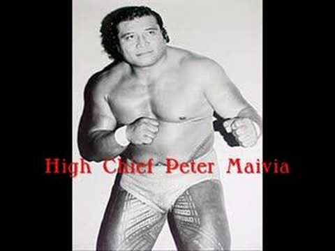 WWE Hall Of Fame Class Of 2008 