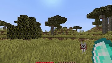 ItemFlexer 1.16.4 Fabric Mod Overview