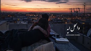 حالات واتس محمد سعيد | Mohammed Saeed 'والحل ايه' ❤️✨