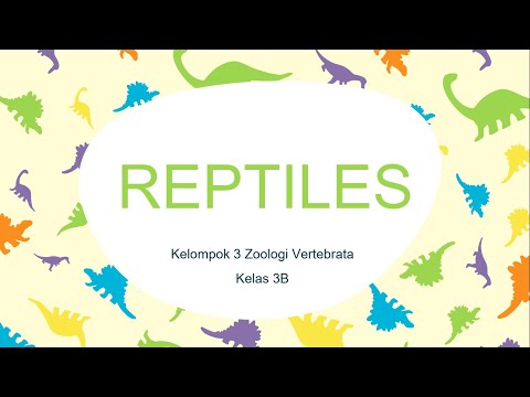 Reptile Kelompok 3 Zovert B