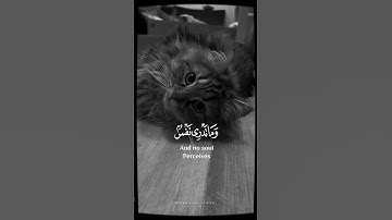 #اسلام_صبحي سورة الذاريات #quran #ستوريات #قران_كريم #explore