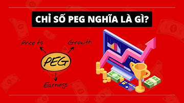 CHỈ SỐ PEG LÀ GÌ? CHỈ SỐ GIÚP ĐỊNH GIÁ CỔ PHIẾU CHÍNH XÁC KHI ĐẦU TƯ CHỨNG KHOÁN