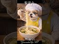 A Warm Bowl of Kalguksu 🍜 Bokdori’s Comfort Noodles 🐶