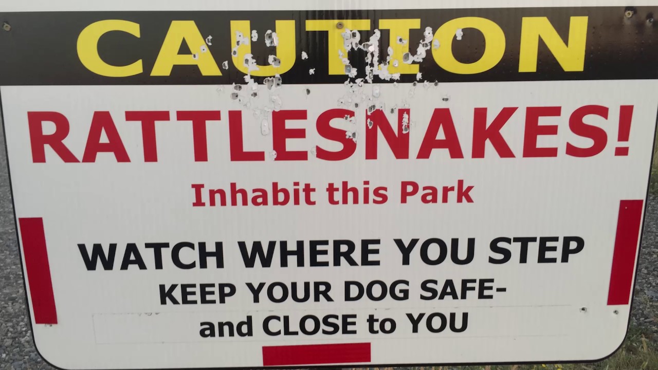 Popp Over America Billings MT to Bowman ND July 14, 2017 YouTube