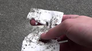 iPhone 11 Pro vs Sledgehammer