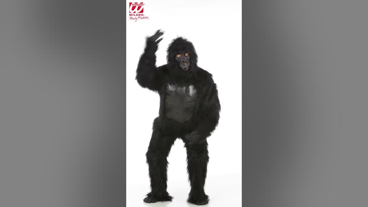 Disfraz De Gorila. - YouTube