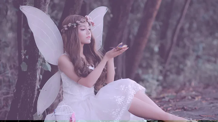 Dark Academia, Enchanted Fairy Forest, Study Music...
