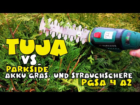 PARKSIDE® Akku-Gras- und von 4 Strauchschere - A2 PGSA Ausprobiert: YouTube