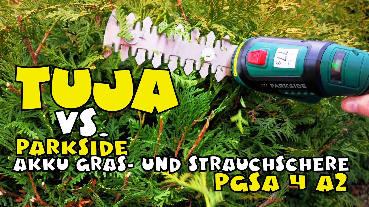 Ausprobiert: Akku-Gras- und Strauchschere PGSA 4 A2 von PARKSIDE® - YouTube