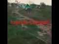 Canaan Twaenda