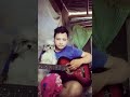 Imahe cover jimpee with chichi the shih tzu