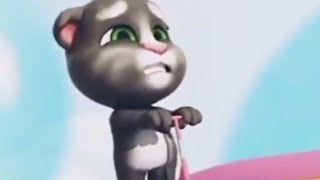 Youtube Shorts Cat Video Mu Tookids