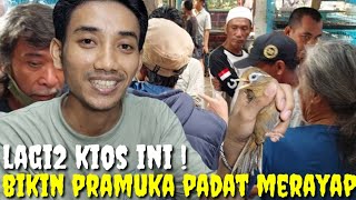 KIOS UEDAN ! BIKIN MERINDING LIAT BURUNG KIOS INI, KACER TERBARU MULAI 100K