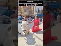 #rayaru #manthralayam #raghavendraswamy #viral #trending #fyp #god #templerun #shorts #ytshorts