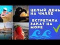 ПОПЛАВАЛА В БАССЕЙНЕ| ВСТРЕТИЛА ЗАКАТ🌅 🍓🍓🍓