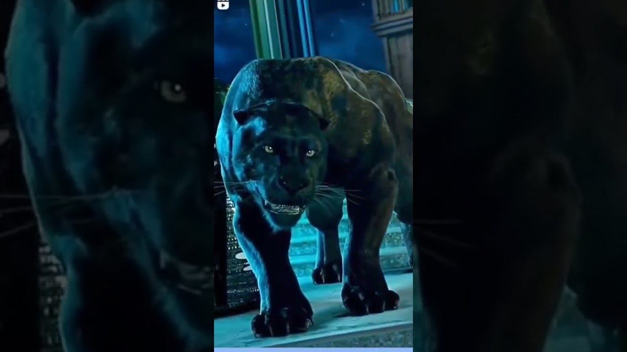 Leon vs Pantera negra