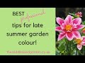 Best professional tips for late summer garden colour!