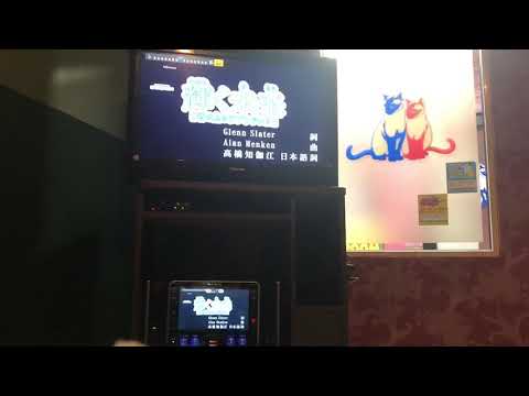 ラプンツェル 〜輝く未来〜 デュエットしてみた