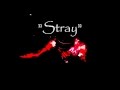 &quot;Stray&quot; by, Wes b.