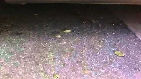 2000 z28 torquer 2 cam only first start warming up