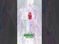 Fasting Surprises Doctors With These Benefits!