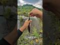 wajib rilis agar lestari #castingikanyabus#spotrawa#mancingmania#mancingliar#amfishing#kocolannekat