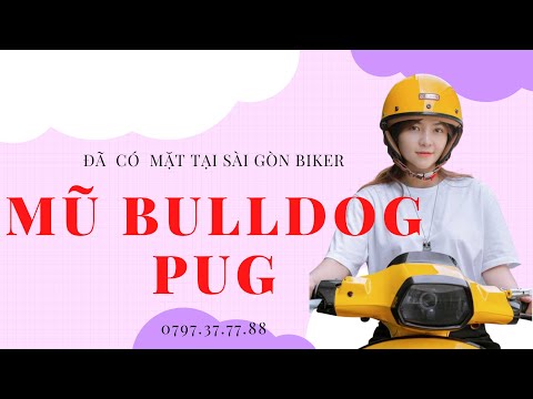 Video Mũ Bảo Hiểm Bulldog Pug Thời Trang Nhiều Màu Sắc Lựa... - youtube