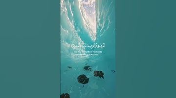 ( إن الأبرار لفي نعيم) #الآيات من سورة المطففين #عبد_الباسط_عبد_الصمد