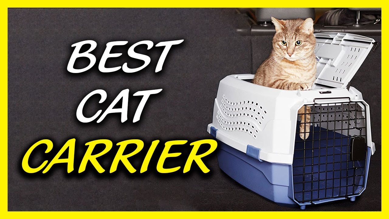Best cat carrier