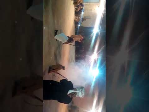 الشيخ الحشاني قرمة 