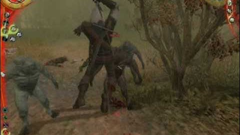 The Witcher: Enhanced Edition - Walkthrough: Chapter 2 - Part 18