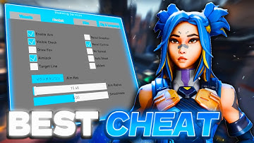 I Used The BEST Valorant Cheat For 24 Hours... (The Results Are INSANE)