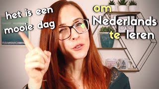 "OM TE" in DUTCH // How to make sentences with "om...te + infinitive"? (NT2 - A2/B1)