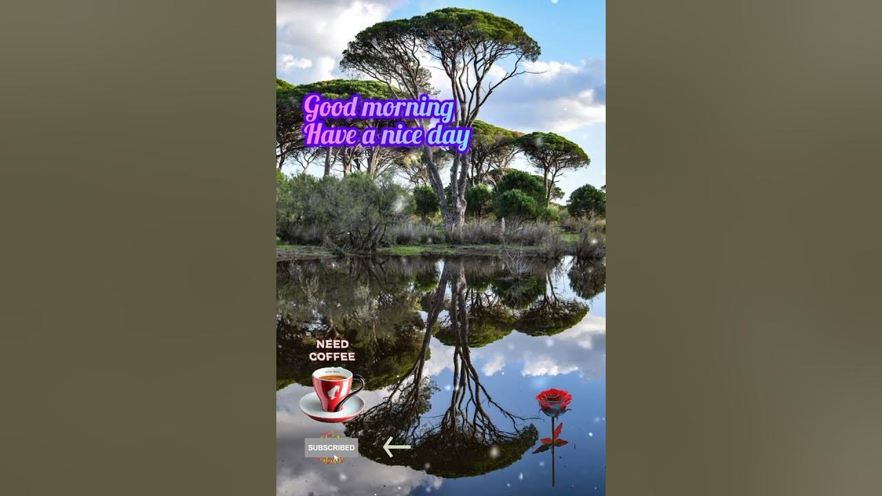 Good Morning Have A Nice Day goodmorningstatus shortvideo good-morning-have-a-nice-day-goodmorningstatus-shortvideo